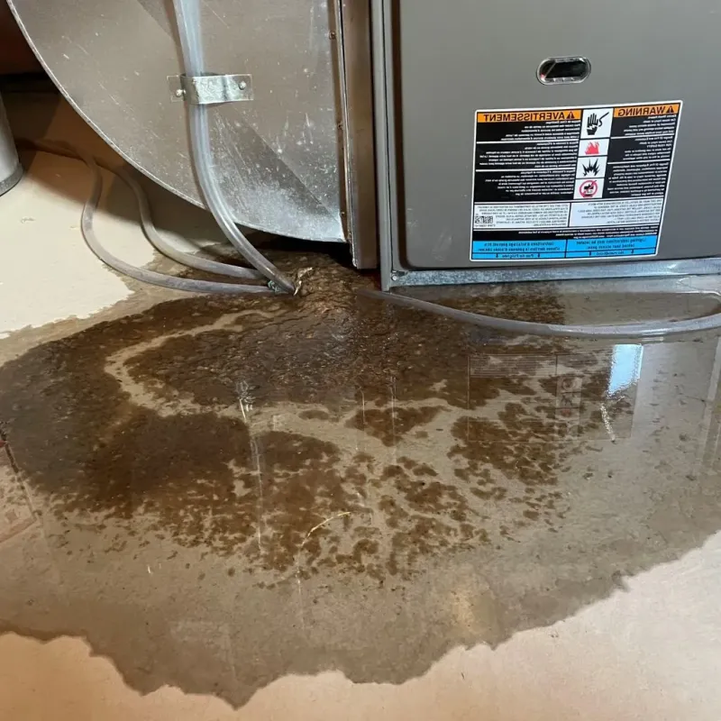 Pipe Burst and Leak Restoration in Dawes County, NE